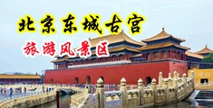www.我想操,com中国北京-东城古宫旅游风景区